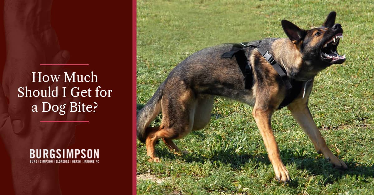 How Much Compensation Can I Get for a Dog Bite Claim?