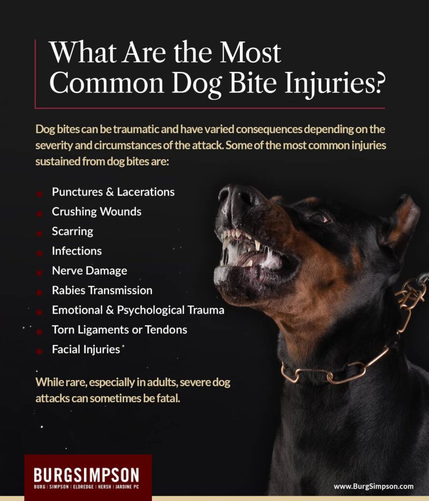 What are the most common dog bite injuries? | Burg Simpson