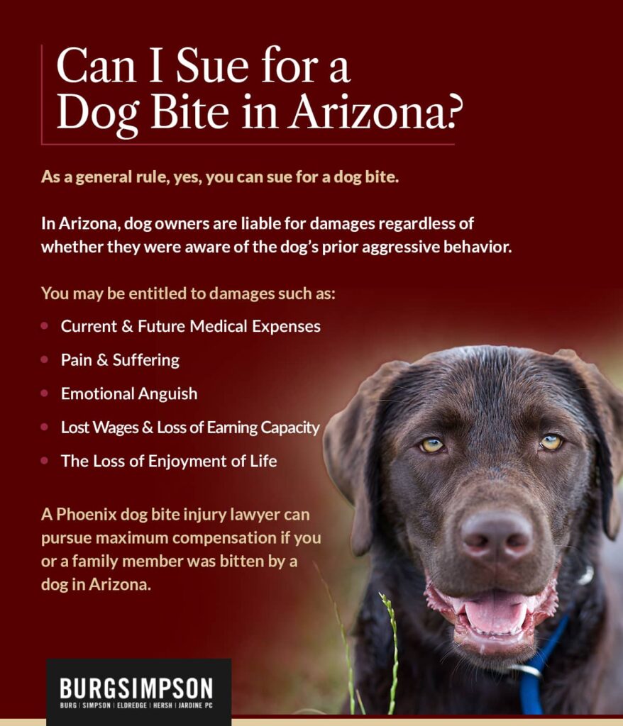 Can I sue for a dog bite in Arizona? | Burg Simpson