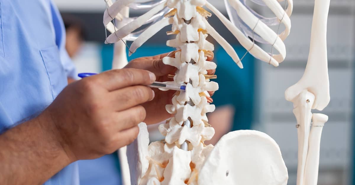 Doctor pointing out the location of a spinal cord injury on a model of a human skeleton | Burg Simpson